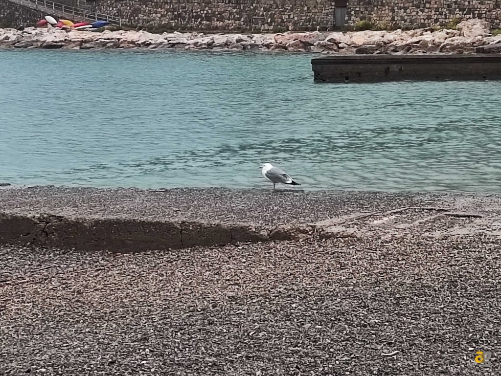 recensione-poco-f4-gt