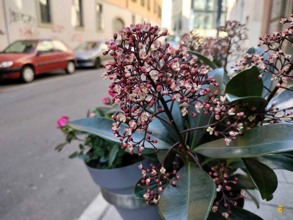 confronto-realme-9-pro-9pro-9i