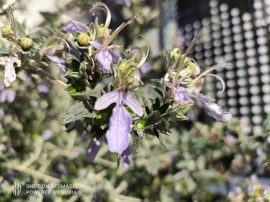 recensione-red-magic-7-pro