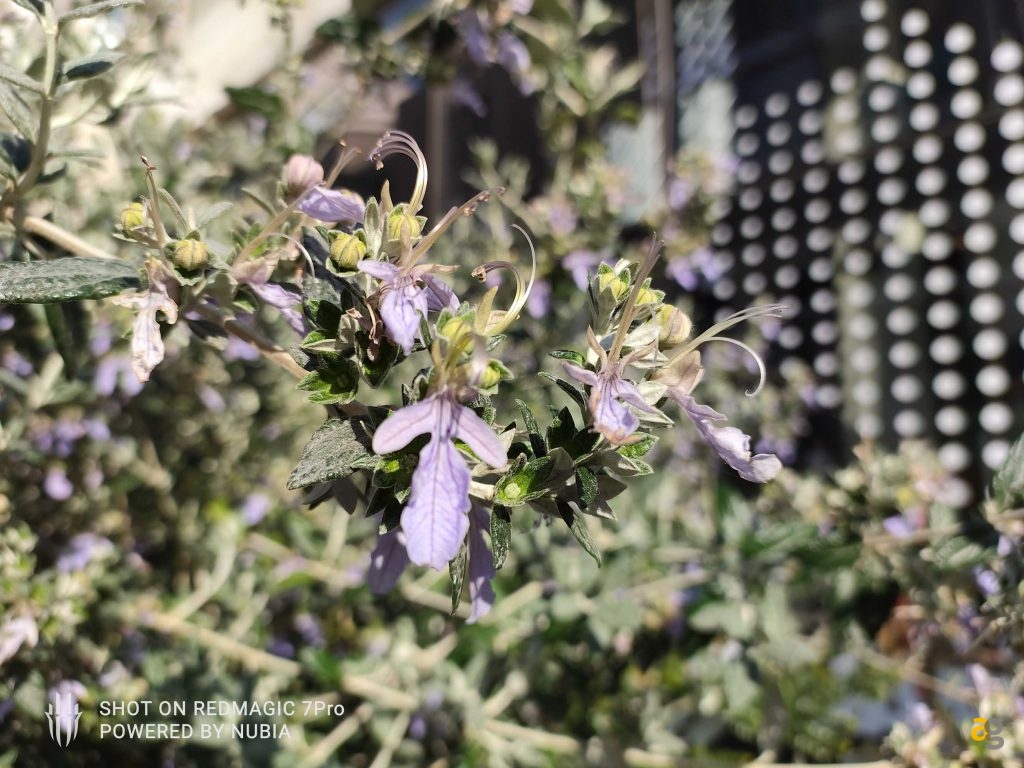 recensione-red-magic-7-pro