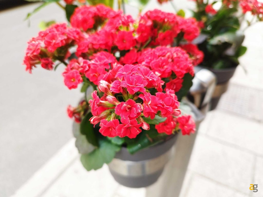 quale-comprare-confronto-xiaomi-redmi-note-11