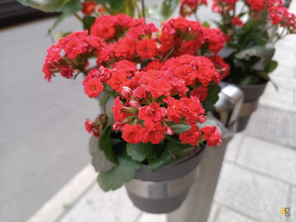 quale-comprare-confronto-xiaomi-redmi-note-11