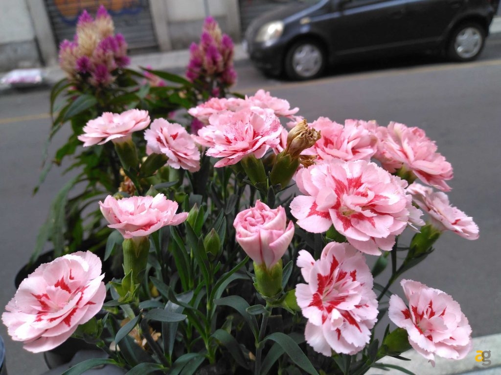 recensione-crosscall-core-m5