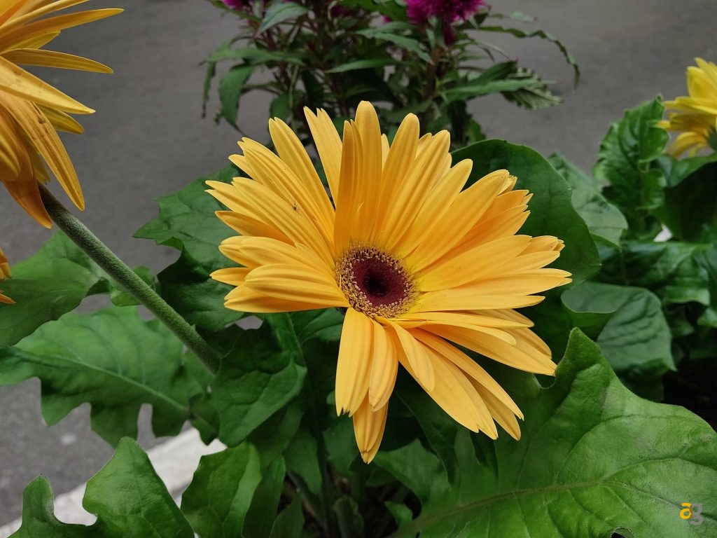 recensione-samsung-galaxy-m23