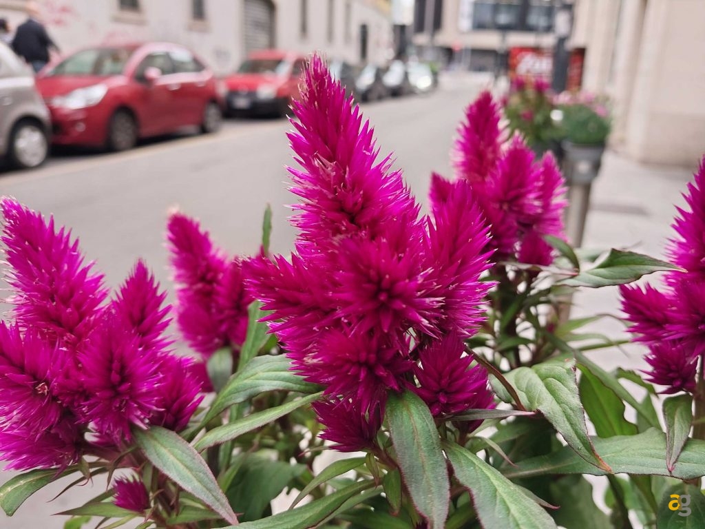 recensione-samsung-galaxy-m23