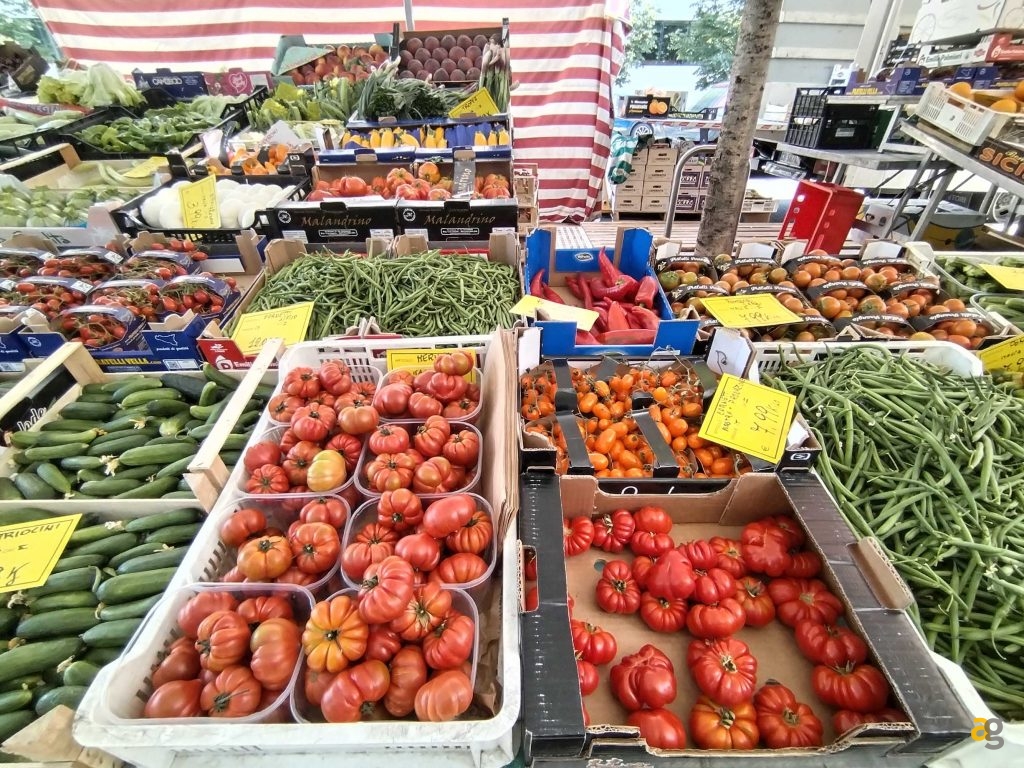 budget-249-euro-smartphone-realme-9-honor-x8-xiaomi-redmi-note-11s