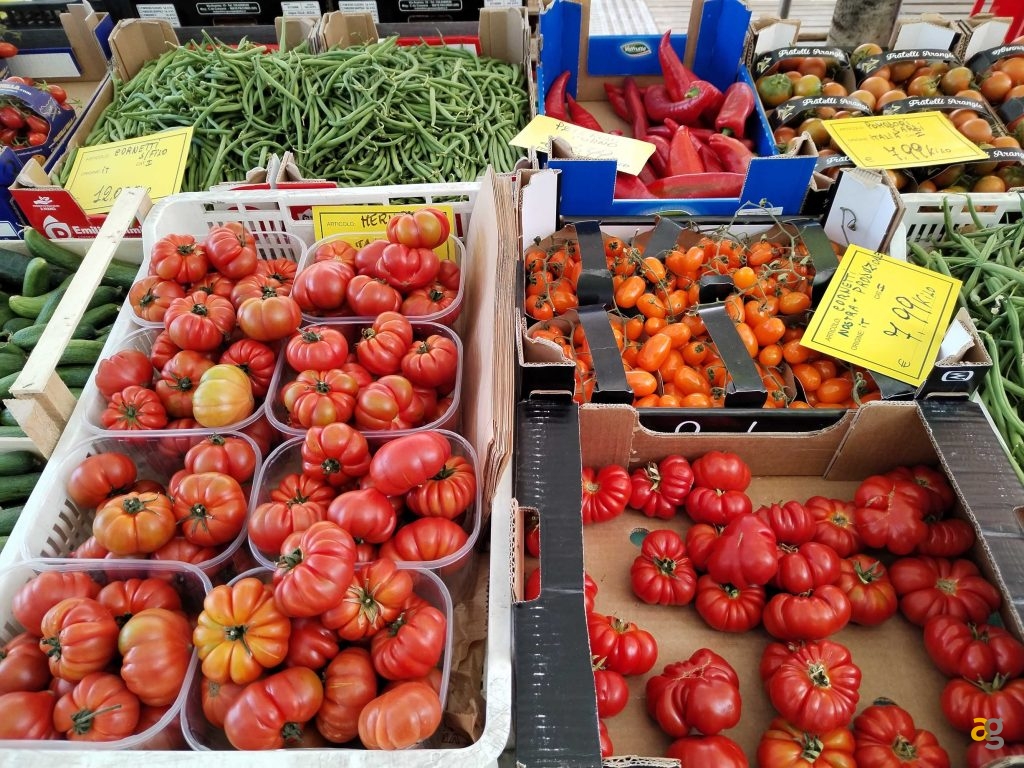 budget-249-euro-smartphone-realme-9-honor-x8-xiaomi-redmi-note-11s