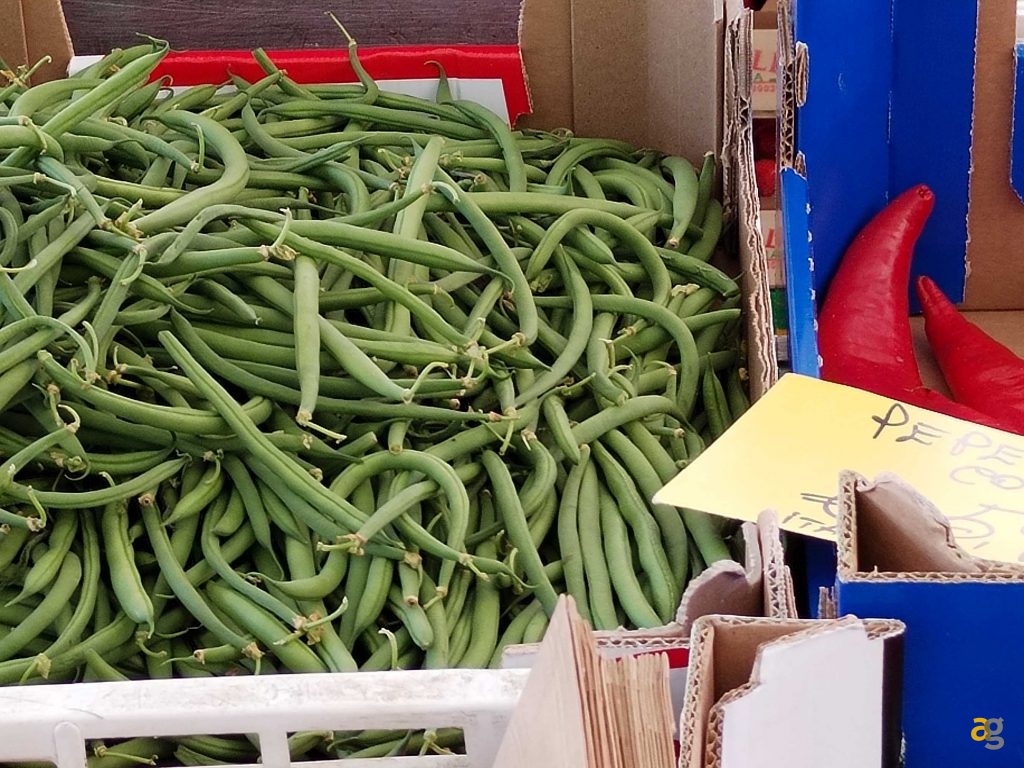 budget-249-euro-smartphone-realme-9-honor-x8-xiaomi-redmi-note-11s