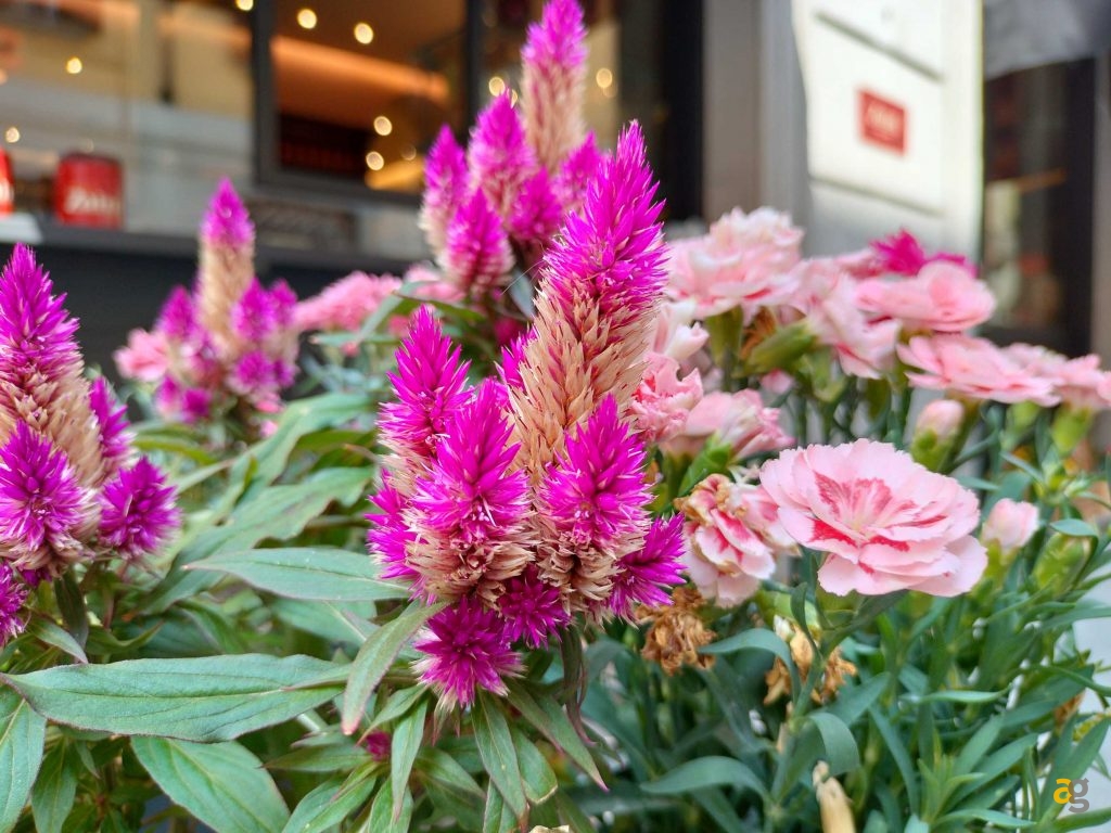 recensione-oneplus-nord-ce-2-lite-5g