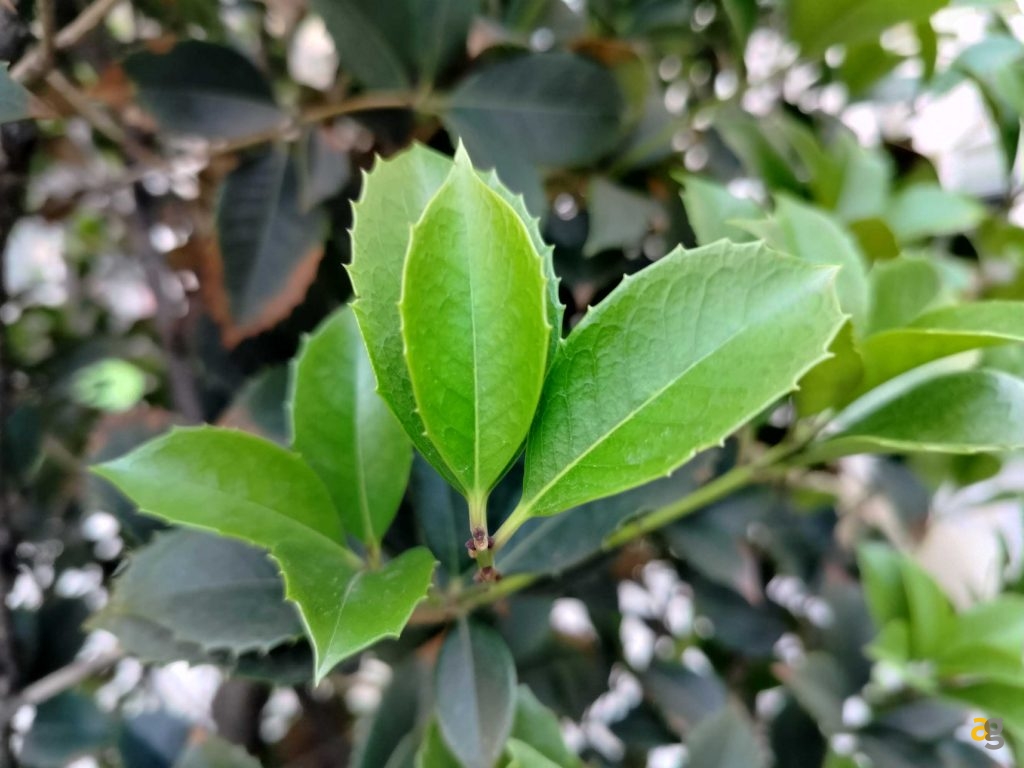 recensione-realme-9-4g