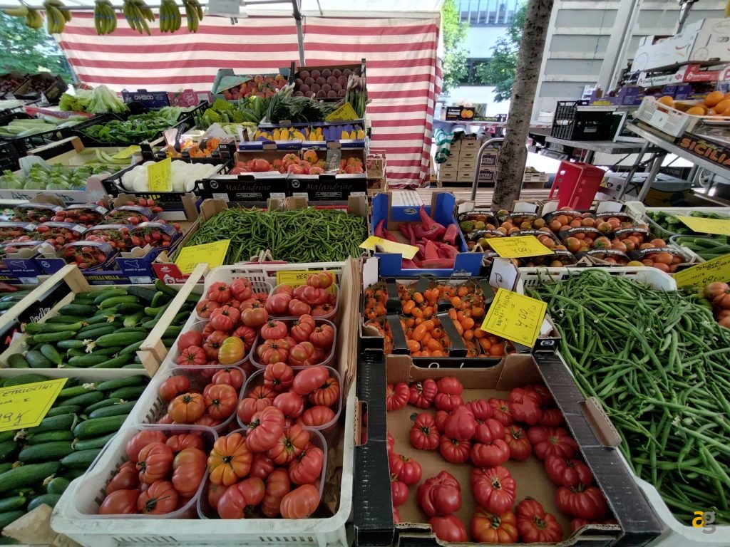 budget-249-euro-smartphone-realme-9-honor-x8-xiaomi-redmi-note-11s