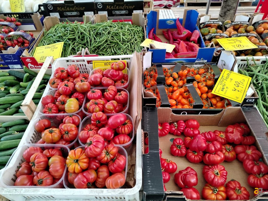 budget-249-euro-smartphone-realme-9-honor-x8-xiaomi-redmi-note-11s