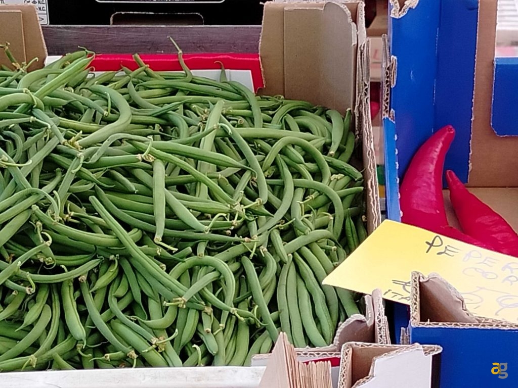 budget-249-euro-smartphone-realme-9-honor-x8-xiaomi-redmi-note-11s