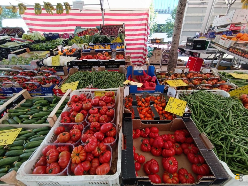 budget-249-euro-smartphone-realme-9-honor-x8-xiaomi-redmi-note-11s