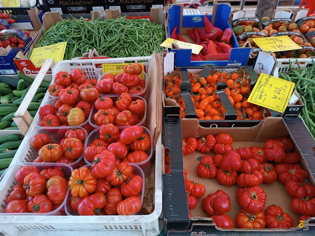 budget-249-euro-smartphone-realme-9-honor-x8-xiaomi-redmi-note-11s