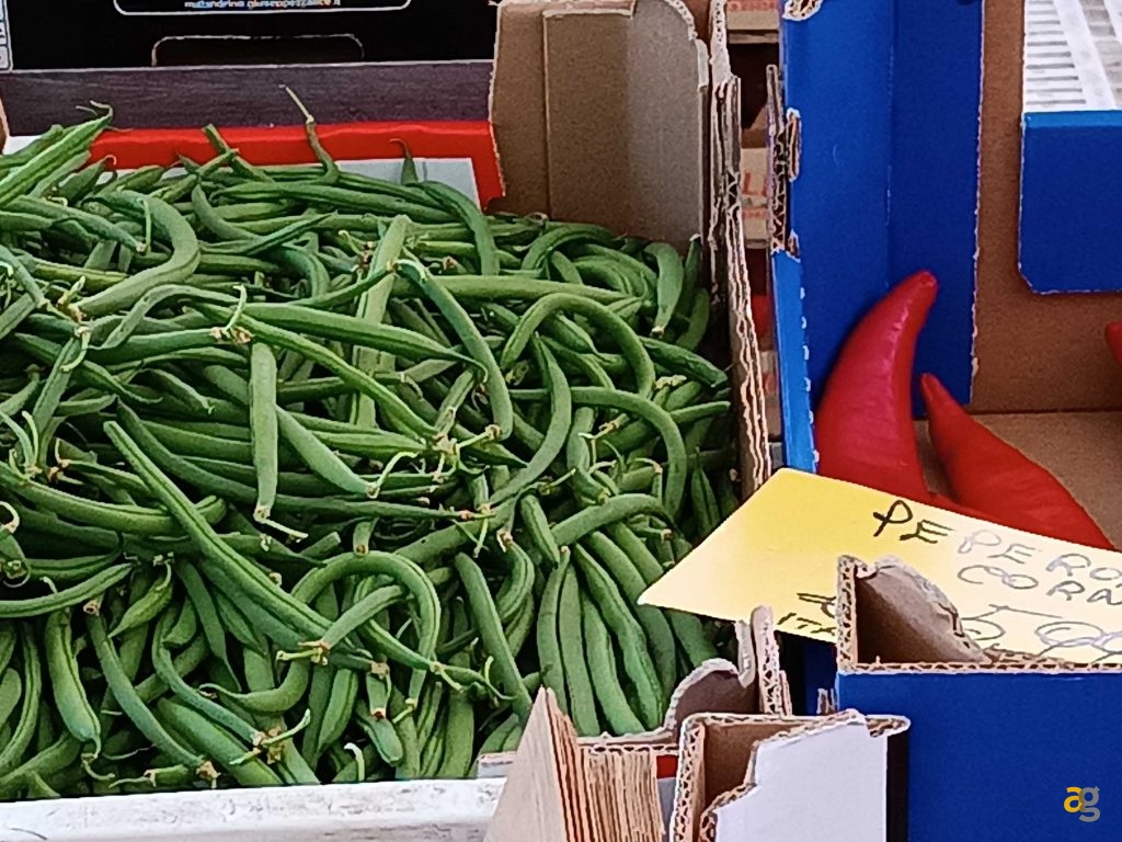 budget-249-euro-smartphone-realme-9-honor-x8-xiaomi-redmi-note-11s