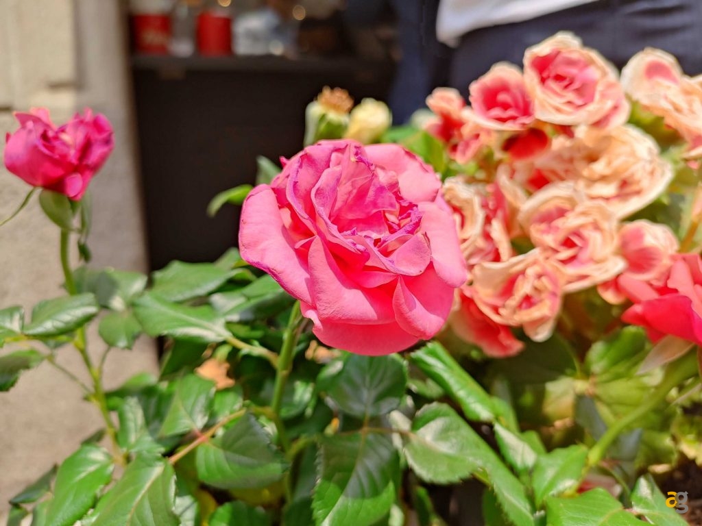 confronto-medi-alti-gamma-realme-gt-neo3-3t-s22-xiaomi-12