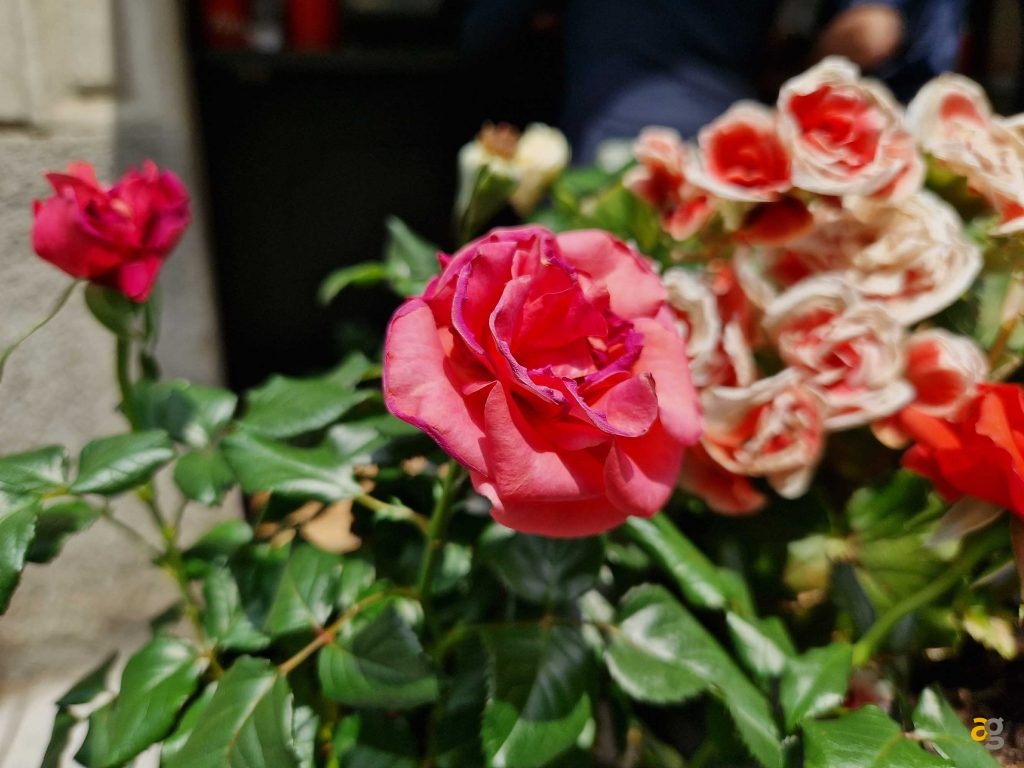 confronto-medi-alti-gamma-realme-gt-neo3-3t-s22-xiaomi-12