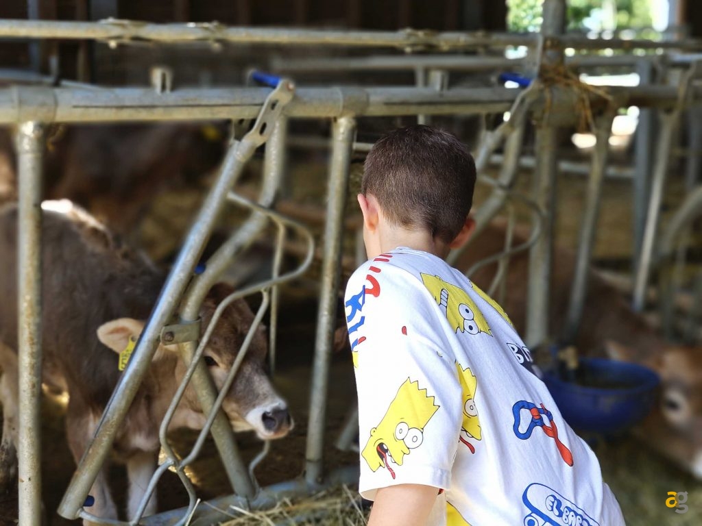 recensione-vivo-x80-pro