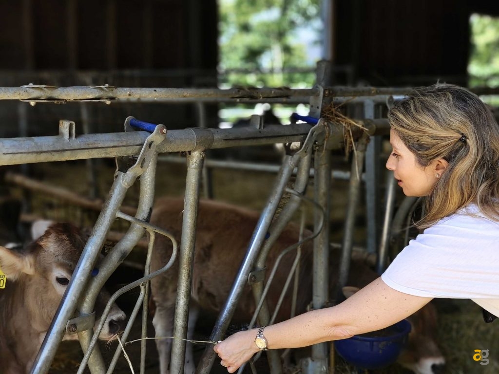 recensione-vivo-x80-pro