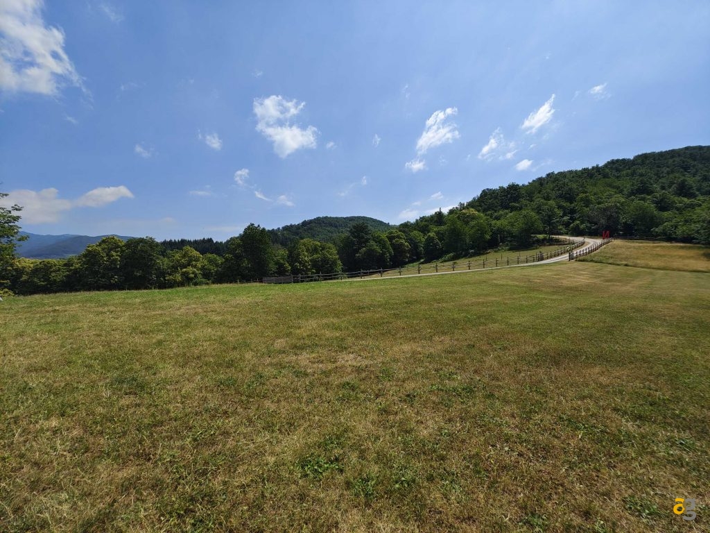 recensione-vivo-x80-pro