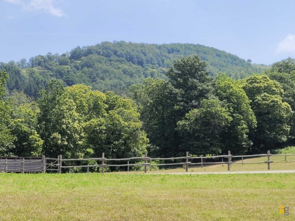 recensione-vivo-x80-pro