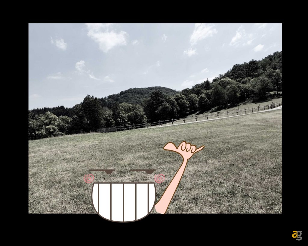 recensione-vivo-x80-pro