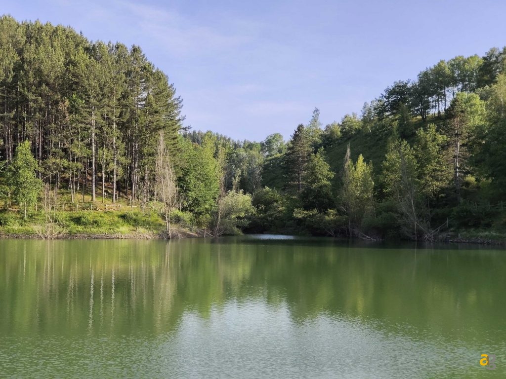 recensione-vivo-x80-pro