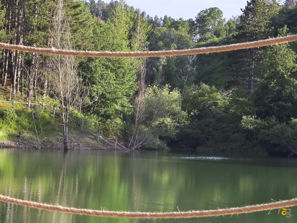 recensione-vivo-x80-pro