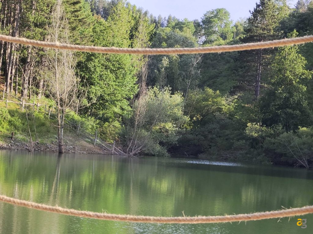 recensione-vivo-x80-pro