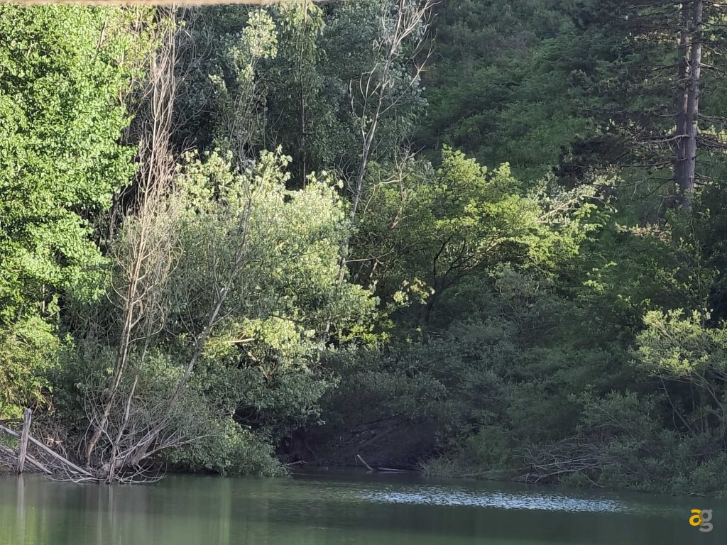 recensione-vivo-x80-pro