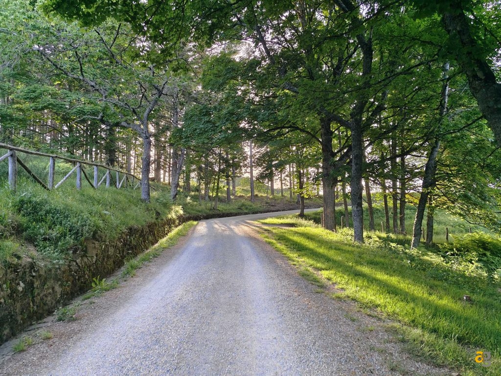 recensione-vivo-x80-pro