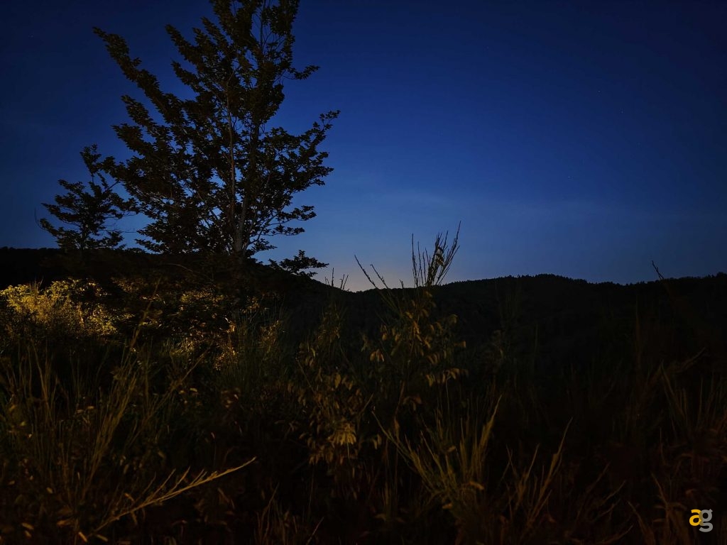 recensione-vivo-x80-pro