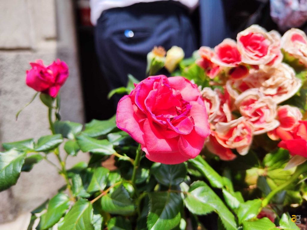 confronto-medi-alti-gamma-realme-gt-neo3-3t-s22-xiaomi-12