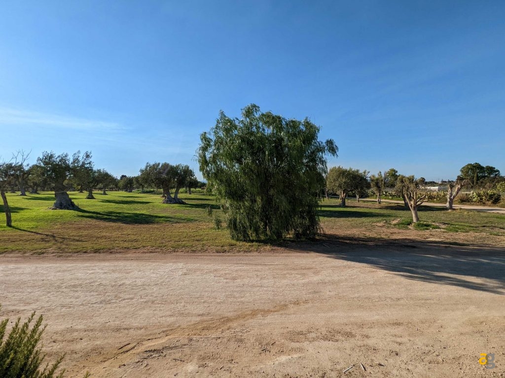 recensione-google-pixel-6a