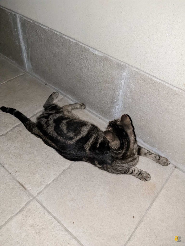 recensione-google-pixel-6a