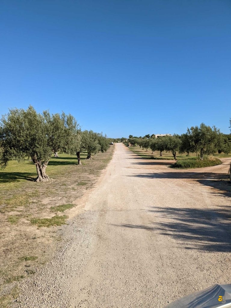 recensione-google-pixel-6a