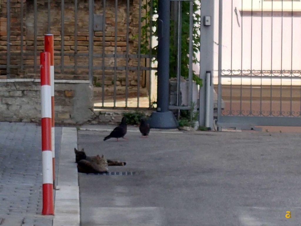 recensione-sony-xperia-1-iv