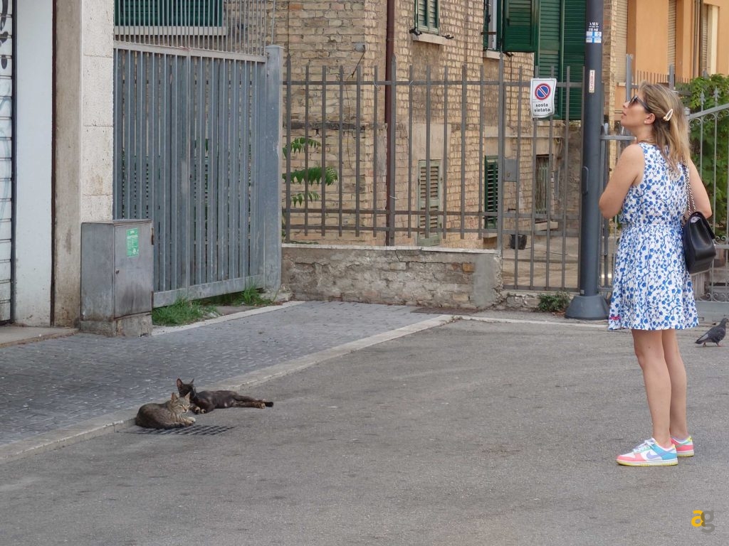 recensione-sony-xperia-1-iv