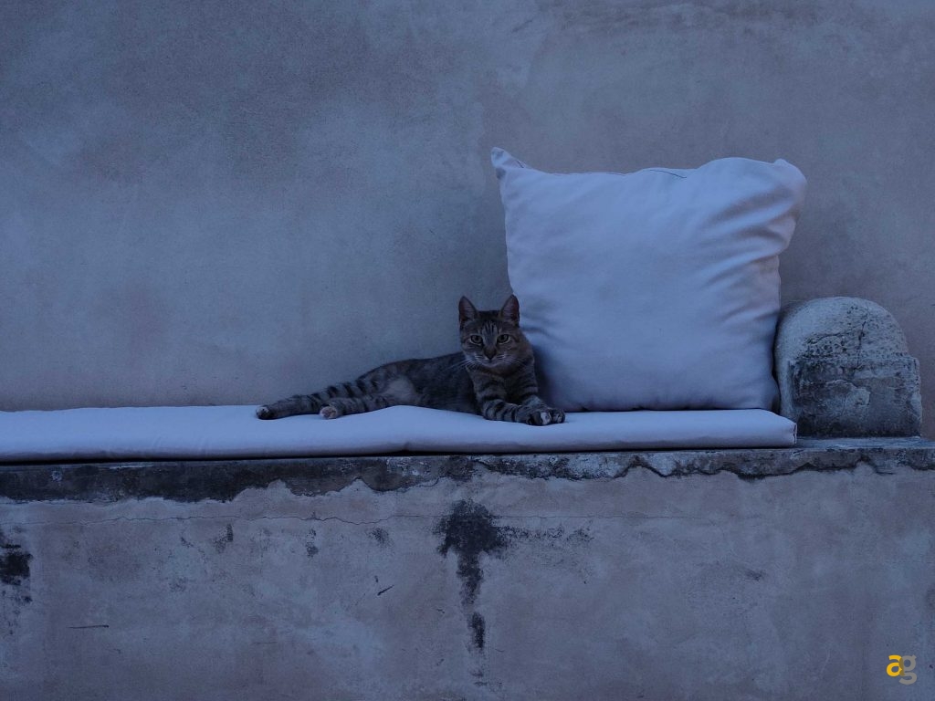 recensione-oneplus-10t