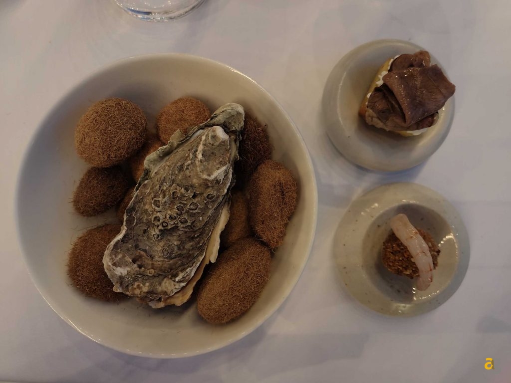 recensione-oneplus-10t