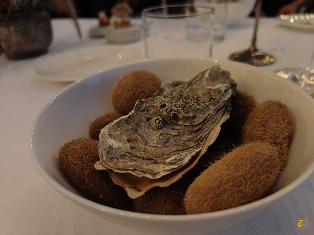 recensione-oneplus-10t