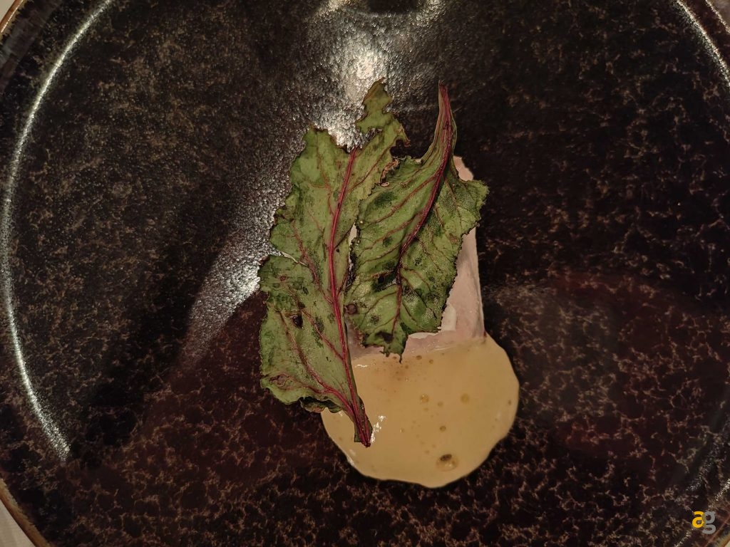 recensione-oneplus-10t