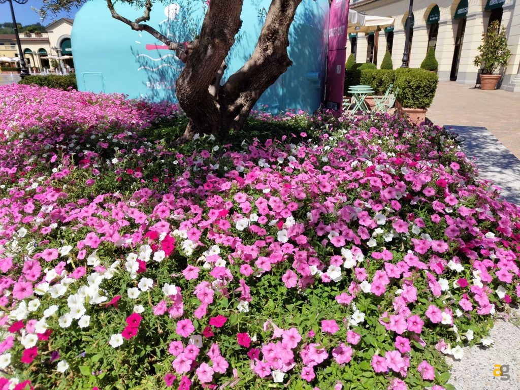 recensione-nothing-phone-1