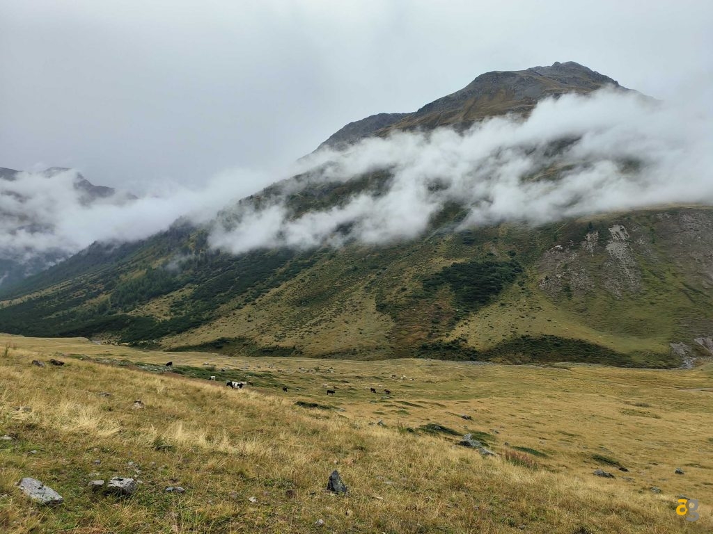 recensione-oppo-reno8-pro-5g