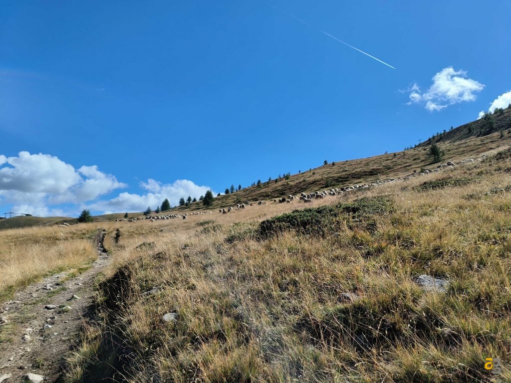 recensione-oppo-reno8-pro-5g