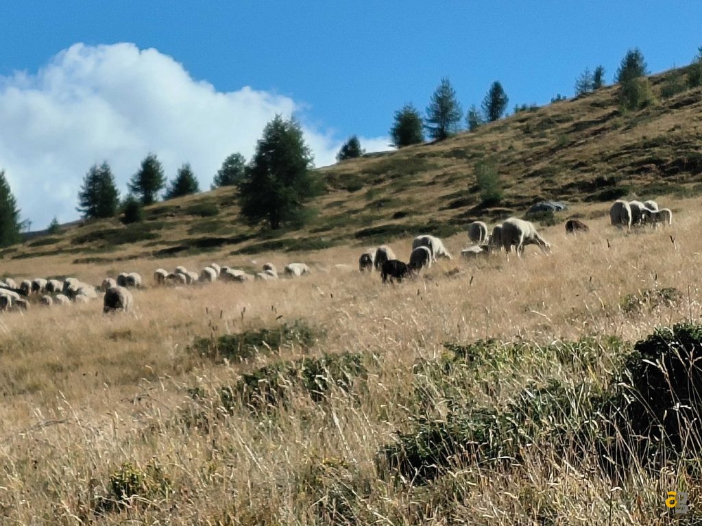 recensione-oppo-reno8-pro-5g