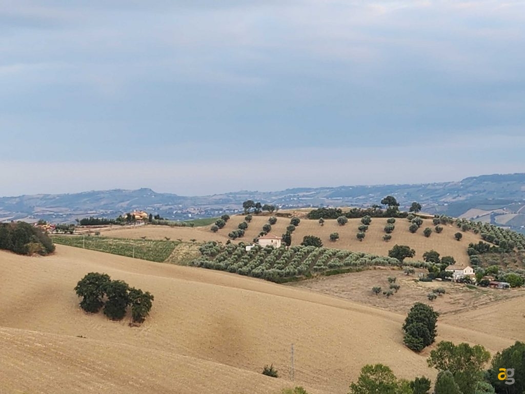 recensione-samsung-galaxy-z-flip4