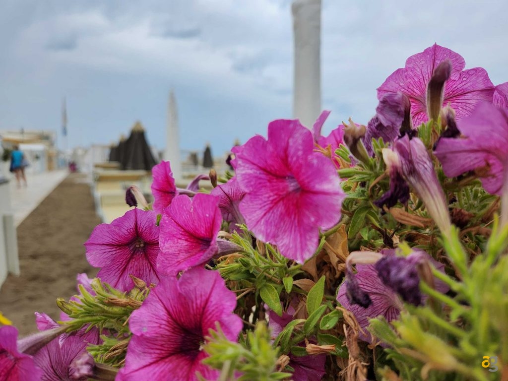 recensione-samsung-galaxy-z-fold4