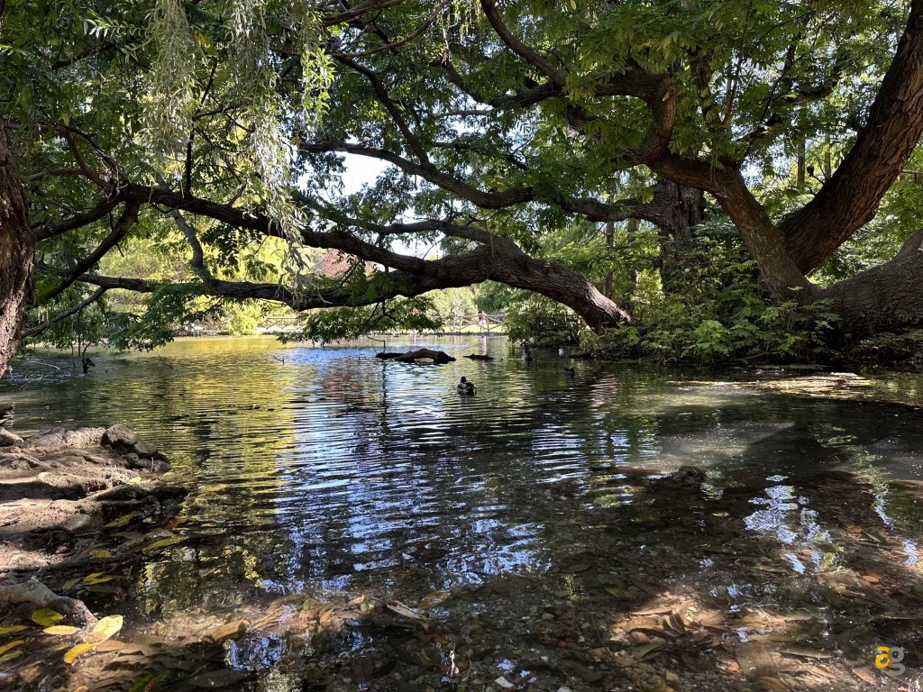 recensione-iphone-14-pro